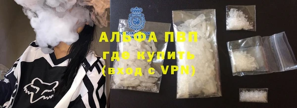PSILOCYBIN Сосновый Бор