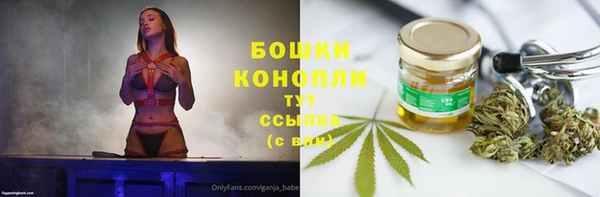 PSILOCYBIN Сосновый Бор