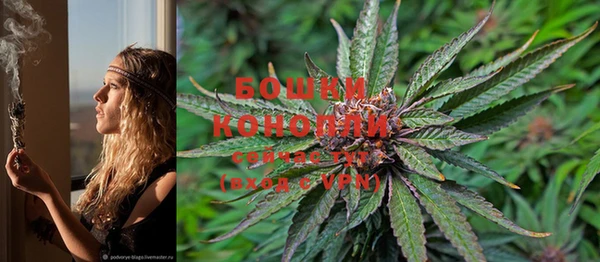 PSILOCYBIN Сосновый Бор