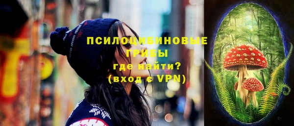 стафф Снежногорск