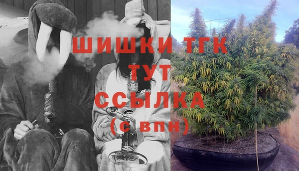 PSILOCYBIN Сосновый Бор