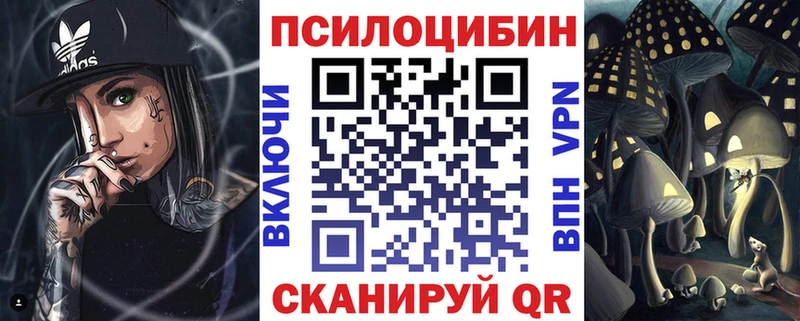 Псилоцибиновые грибы Cubensis  Тосно 