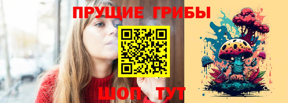 Галлюциногенные грибы Psilocybine cubensis  Вход с VPN  Тосно 