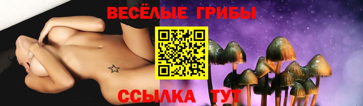 Галлюциногенные грибы Psilocybe Тосно